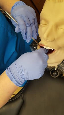 Dental Dummy